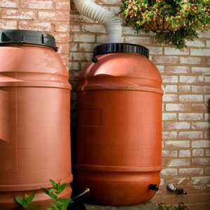 Rain Barrels
With the right setup, you can not only protect your home from rain, but you can utilize this runoff and use it to water your garden or other important purposes. Here at D